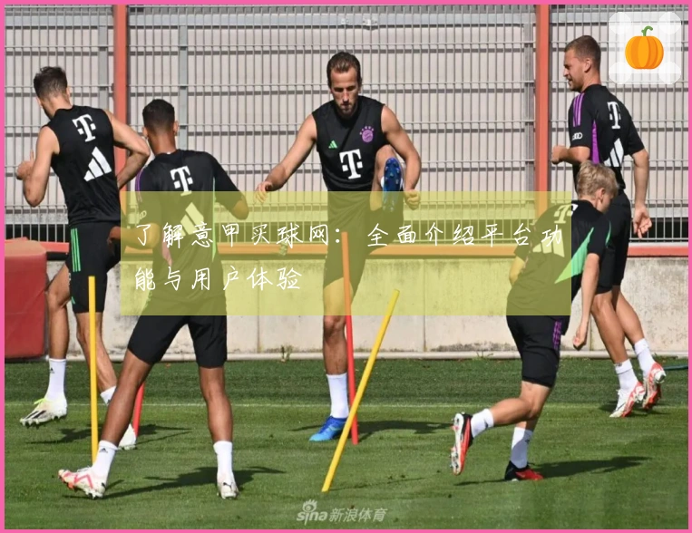 了解意甲买球网：全面介绍平台功能与用户体验