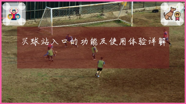 买球站入口的功能及使用体验详解