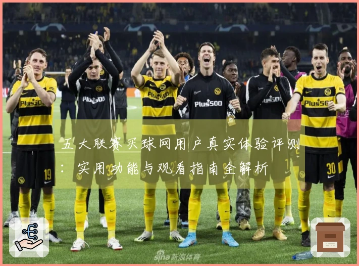 五大联赛买球网用户真实体验评测：实用功能与观看指南全解析