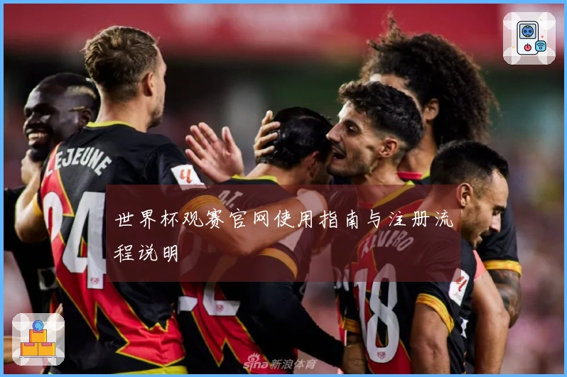 世界杯观赛官网使用指南与注册流程说明