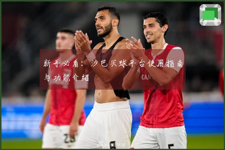 新手必看：沙巴买球平台使用指南与功能介绍