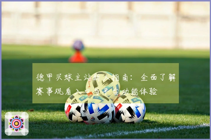 德甲买球主站新人指南：全面了解赛事观看入口与平台功能体验