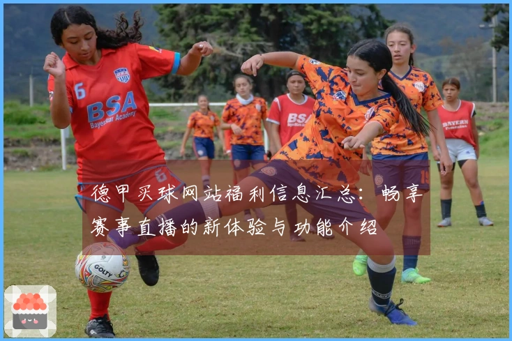 德甲买球网站福利信息汇总：畅享赛事直播的新体验与功能介绍