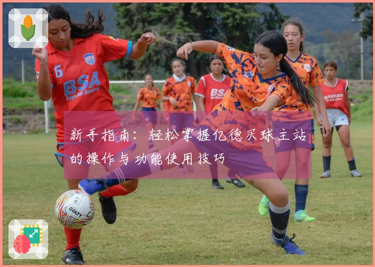 新手指南：轻松掌握亿德买球主站的操作与功能使用技巧