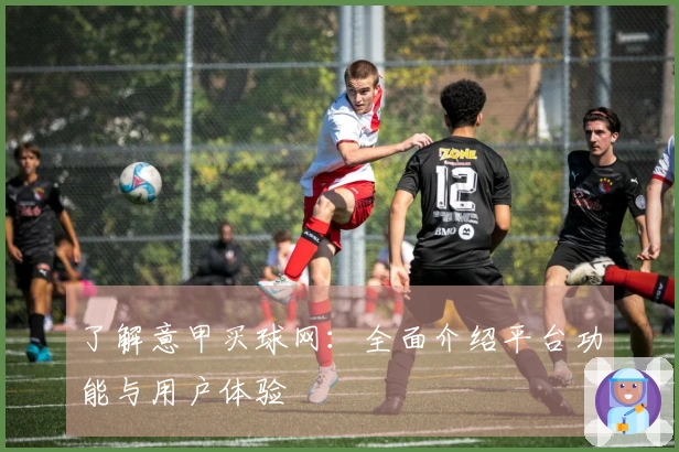 了解意甲买球网:全面介绍平台功能与用户体验