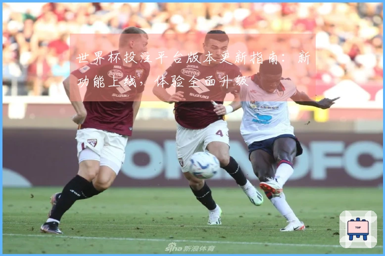 世界杯投注平台版本更新指南：新功能上线，体验全面升级