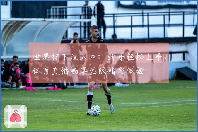 世界杯下注入口：新手轻松上手，体育直播畅享无限精彩体验